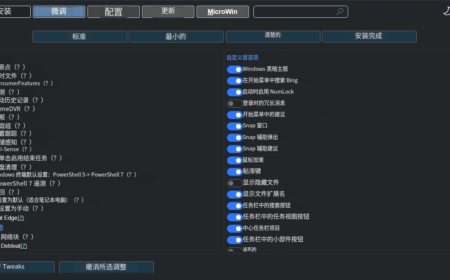 Winutil：全面优化您的Windows体验—从系统加速到软件管理的全能助手